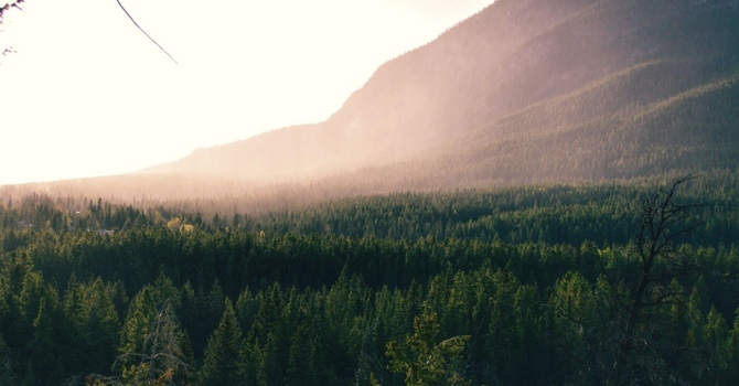  Effective Chiropractic Care   image